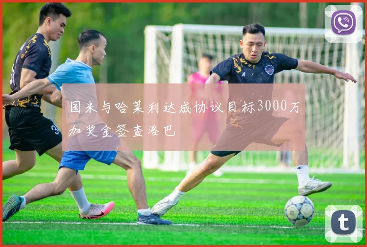 国米与哈莱利达成协议目标3000万加奖金签查洛巴